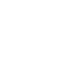 wfg logo